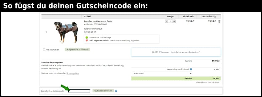 loesdau Gutschein einfuegen und sparen schwarz