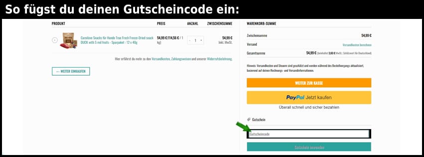 petshop24 Gutschein einfuegen und sparen schwarz