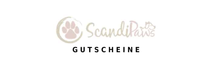 scandipaws Gutschein Logo Oben