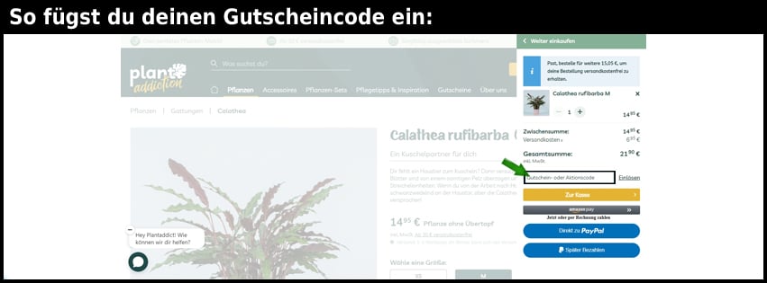 plantaddiction Gutschein einfuegen und sparen schwarz