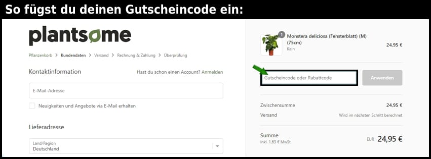 plantsome Gutschein einfuegen und sparen schwarz