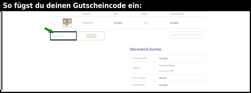 visiona Gutschein einfuegen und sparen schwarz